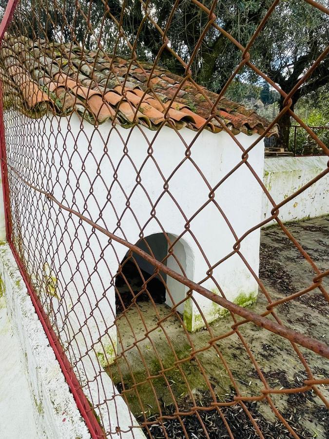 Casa Do Martinho Guest House Castelo de Vide Exterior photo